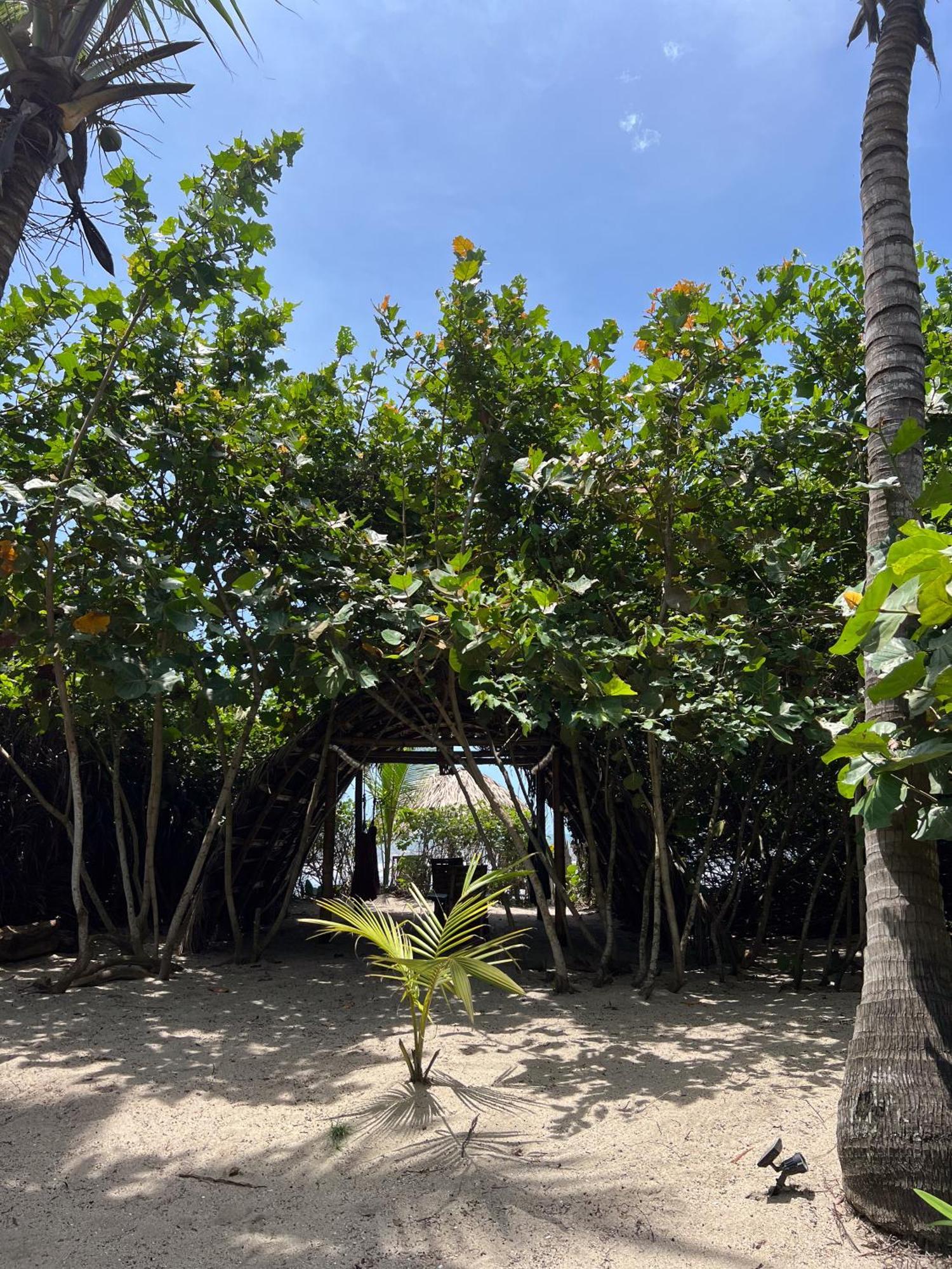 Lote 10 Glamping Hotel Guachaca Exterior foto